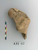 藏品(獸骨)的圖片